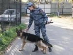 "Такая интересная работа"