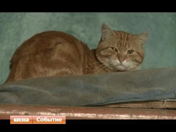 Нужен капремонт