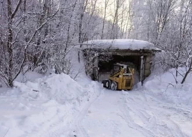 Помосковную рассаду будут хранить в лесных холодильниках