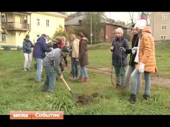 Экологическая форма досуга. В нескольких микрорайонах Сергиева Посада прошла акция по посадке деревьев