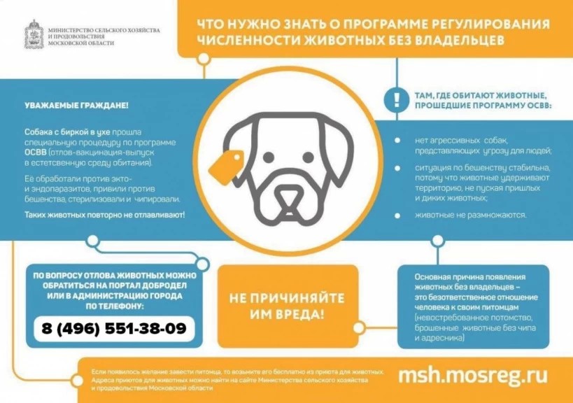 Что нужно знать о программе регулирования численности животных без владельцев?