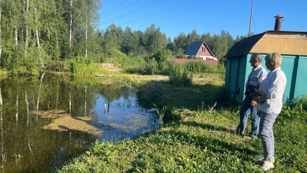 Садоводы "ДОН"а услышаны