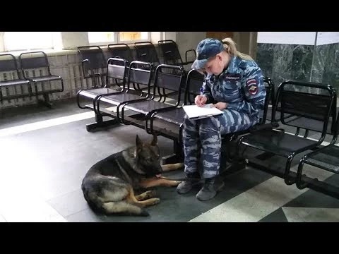 Людей эвакуировали из автовокзала по тревоге (учебной)