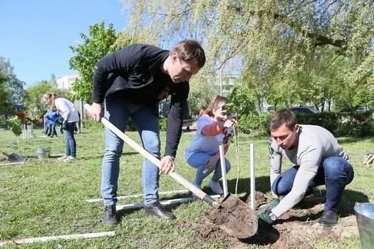 Лесу Победы — 48 тысяч деревьев