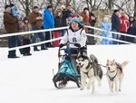 Хаски снова на лыжне!