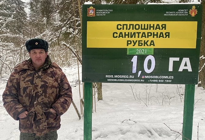 Лес у Сергиево-Посадской деревни Путятино будет капитально обновлен