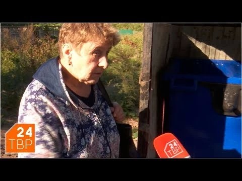 Голубые и серые: появились контейнеры для «сухих» и «мокрых» отходов