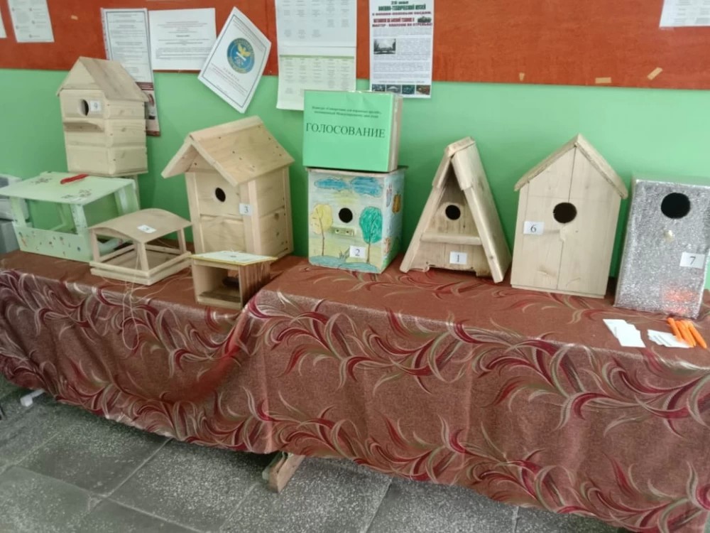 В Мишутинской школе отпраздновали день птиц