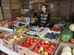Крымские помидоры приедут в Посад