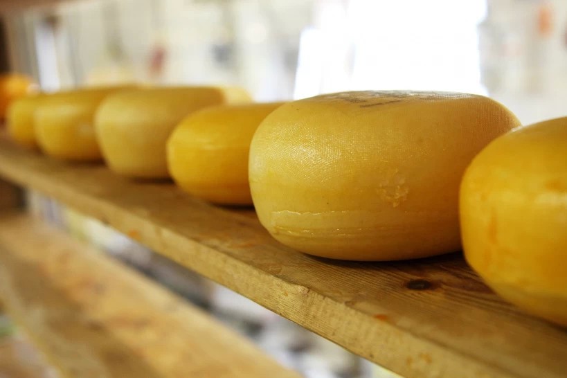 Где купить нежнейшего фермерского сыра сергиевопосадцам: 12 лучших сыроварен Подмосковья