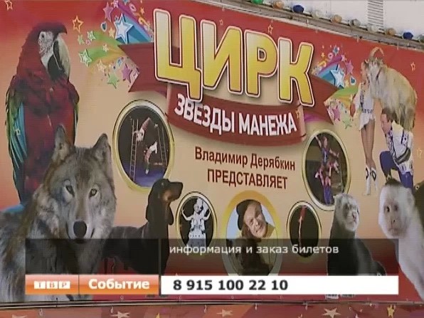 Цирк приехал