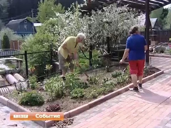 Дачный спор из-за ручья