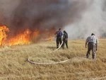 Ваш сайт, добровольцы!