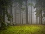 Клещи открыли сезон охоты...