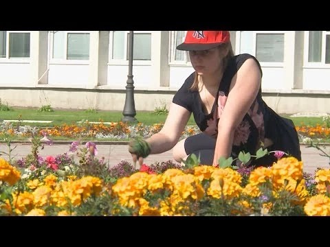 Каникулы на прополке