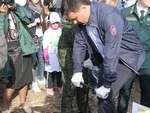 Каждый должен посадить своё дерево