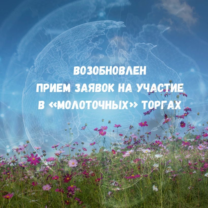 Возобновлен прием заявок на участие в «молоточных» торгах!