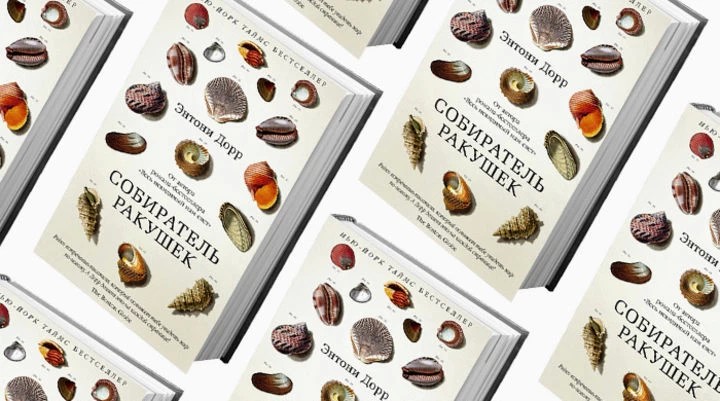 &quot;Книжная полка&quot;: что можно почитать?