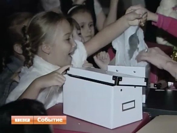 Новогоднее представление на “Конном дворе”