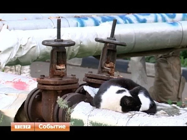 Горячая вода возвращается в дома и учреждения поселка Птицеград