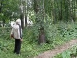 С Дружбы грачи улетели