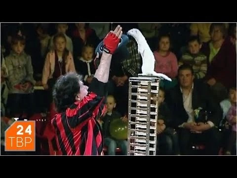 Максим и Любовь Черевко – дрессировщики хорьков