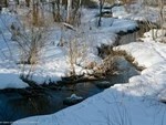 Чистой воды Кунья