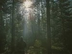 В поисках уличного спорта