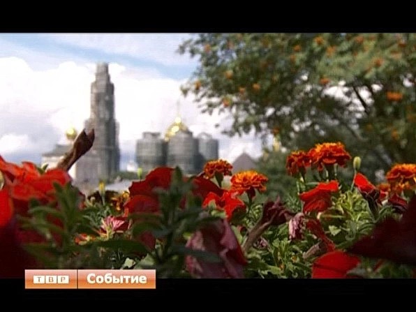 Яркие соцветия