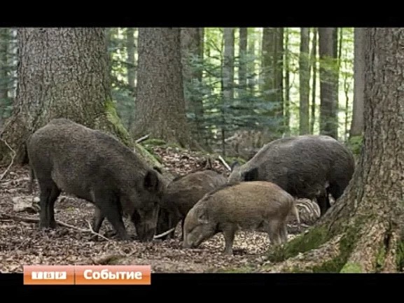 Сельхозпроизводители терпят убытки