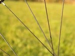 Велосипеды «делают ноги»