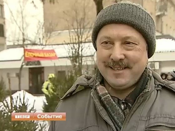 Сосны на ёлочных базарах на пике популярности: запах, говорят, лучше и иголки длиннее