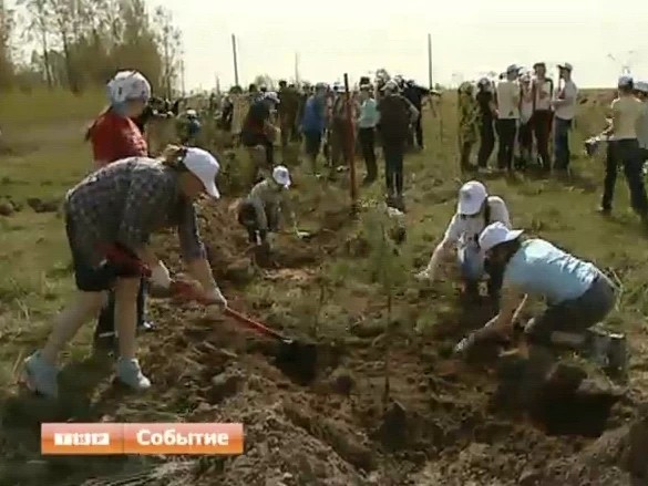 День работников леса