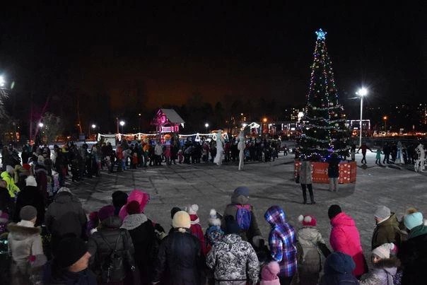 Первые Новогодние ёлки в Сергиево-Посадском районе зажглись в парках «Скитские пруды» и «Покровский»