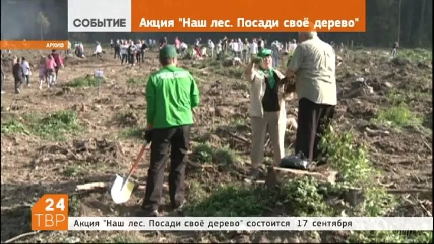 Акция "Наш лес. Посади свое дерево", которая уже стала традиционной, состоится в Сергиево-Посадском районе 17 сентября