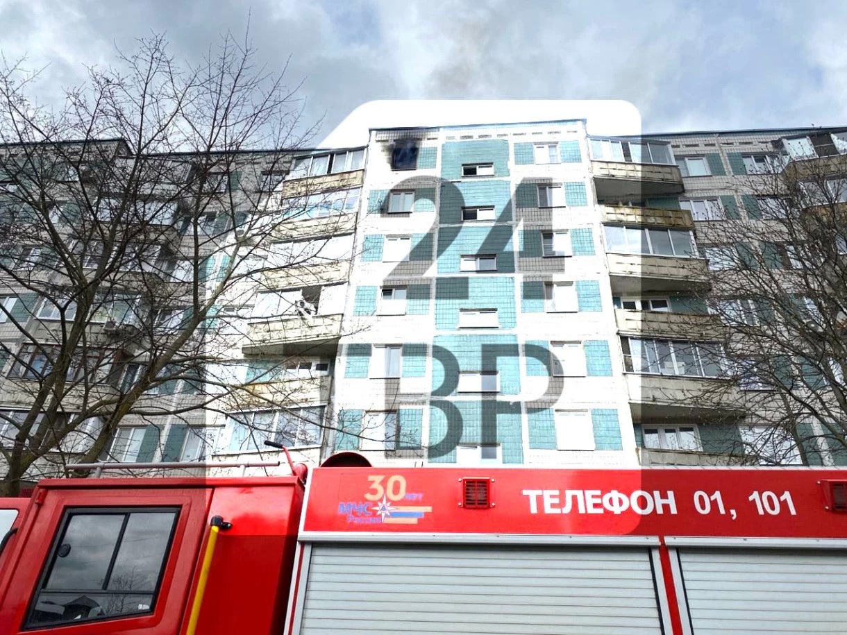 В доме N207б на проспекте Красной Армии возникло возгорание в одной из квартир на 9 этаже.