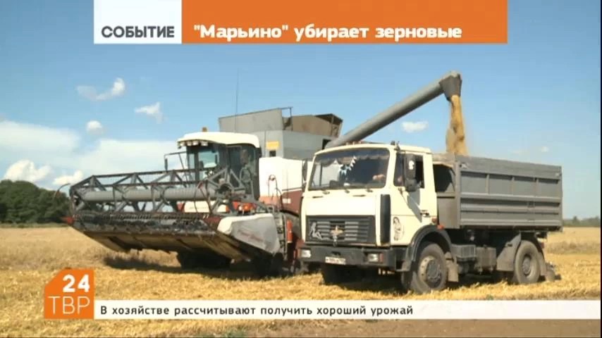 В сельскохозяйственном кооперативе "Марьино" уборочная кампания в самом разгаре