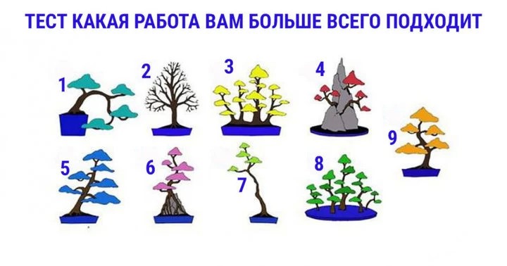 Тест: какая работа вам больше всего подходит