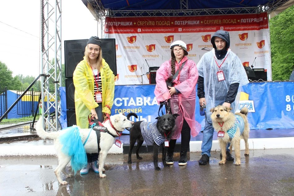 Шесть лет на страже добра