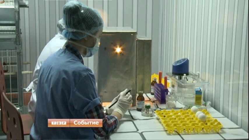 Заседание Совета директоров Союза животноводов России состоялась на базе Всероссийского аграрного колледжа в Сергиевом Посаде