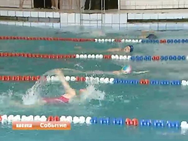 Заключительные соревнования сезона по плаванию состоялись в спорткомплексе "Луч"