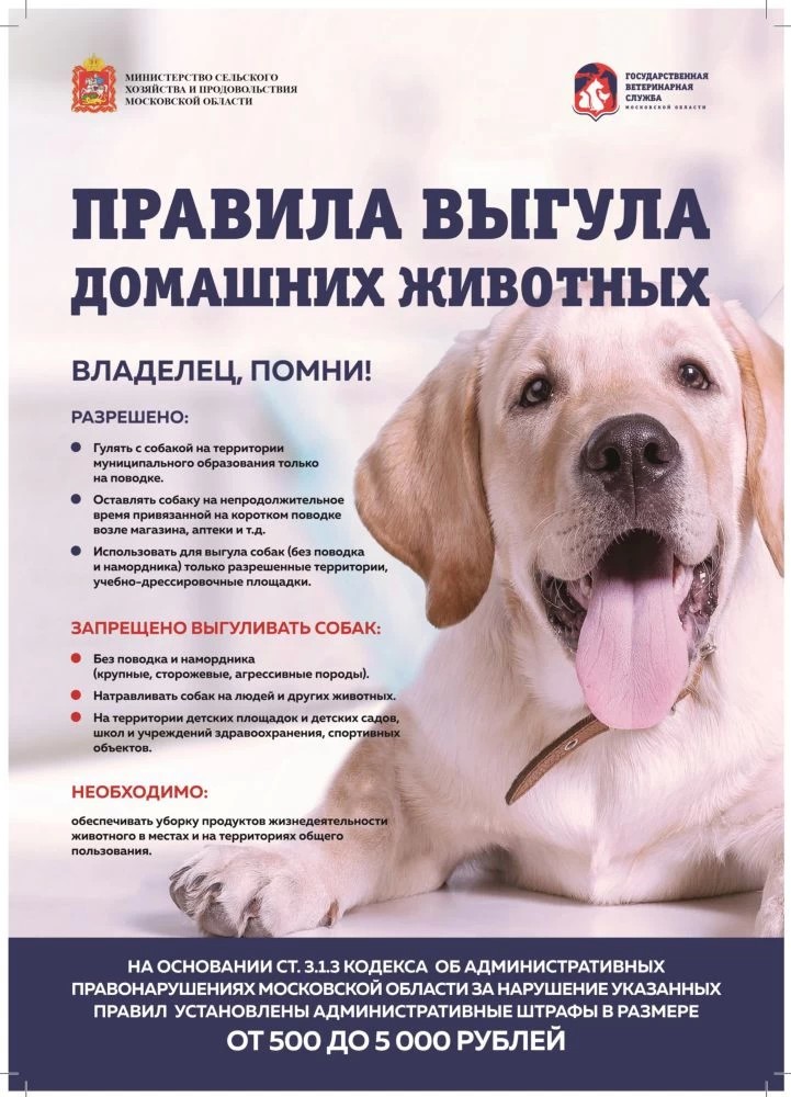 Администрация Сергиево-Посадского городского округа напоминает о правилах выгула домашних животных