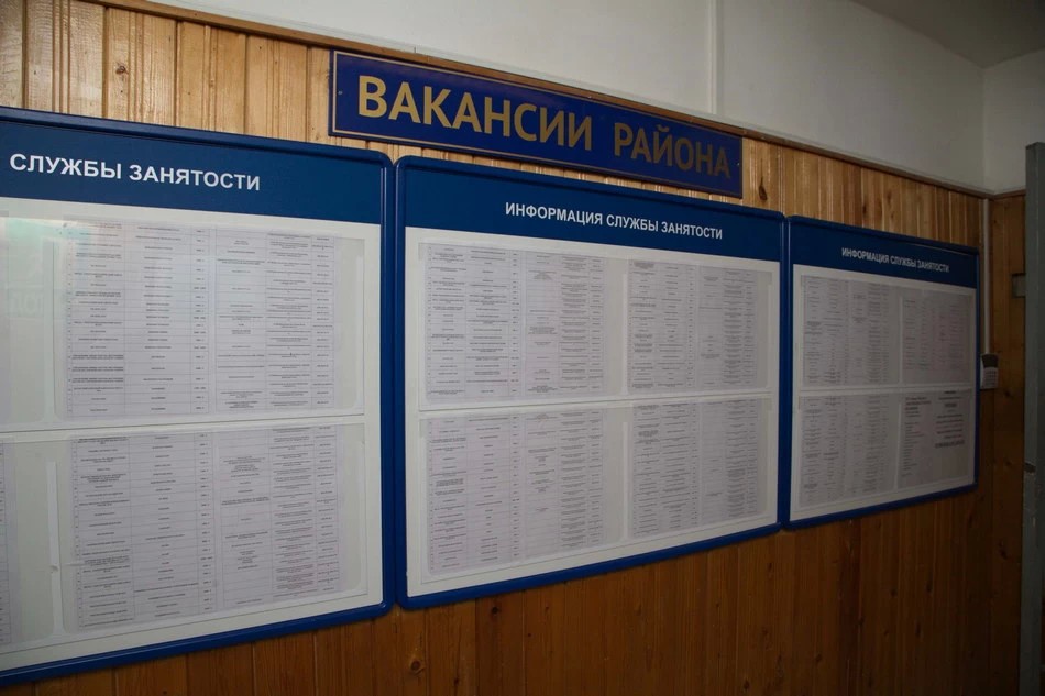 В тунеядцы не хотят
