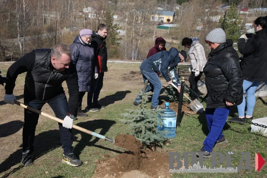 В Сергиево-Посадском округе стартовала региональная акция «Лес Победы»
