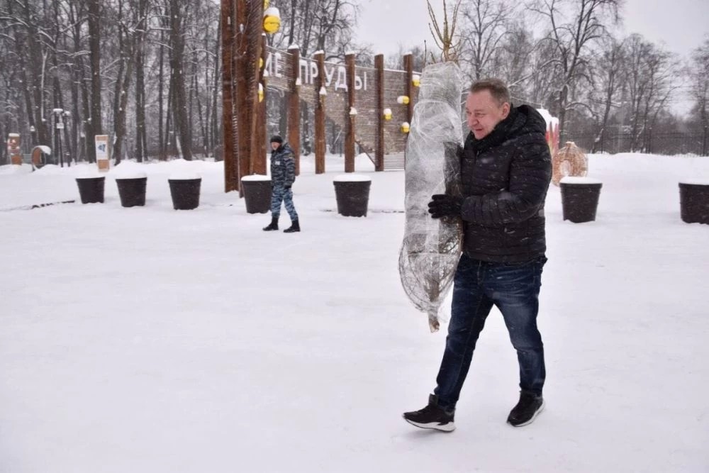 Акция «Подари ёлке вторую жизнь» продлится в Сергиево-Посадском округе до 15 февраля
