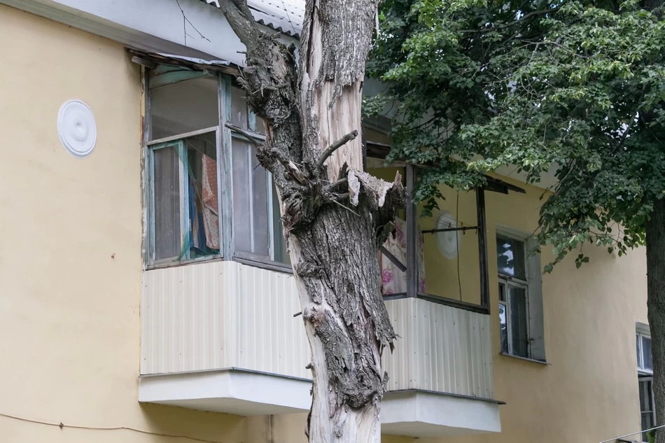 Дерево легло на дом