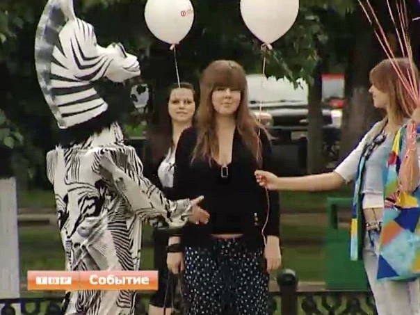 Зебра вышла на дорогу