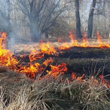 Из-за угрозы пожаров в Москве и области объявлен «жёлтый» уровень опасности