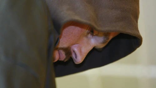 Попечитель Сергиево-Посадской православной гимназии предстанет перед судом за мошенничество