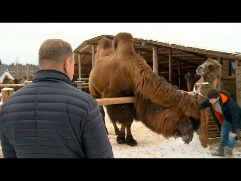 Власть поддержит инициативы в туризме